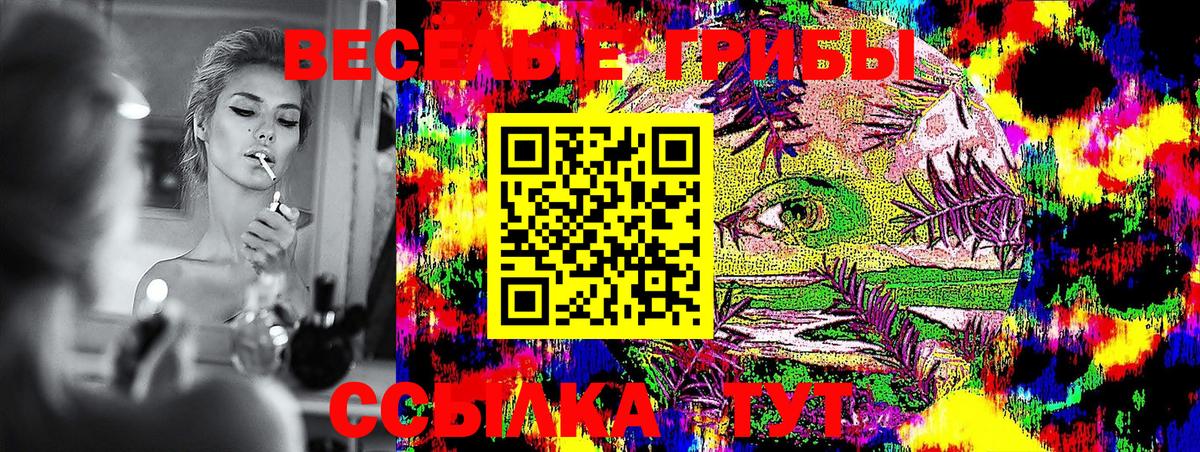 Галлюциногенные грибы GOLDEN TEACHER  Вход с VPN  Шадринск 
